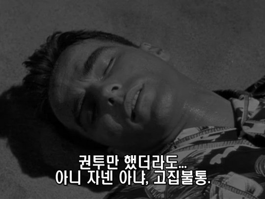 사용자 삽입 이미지