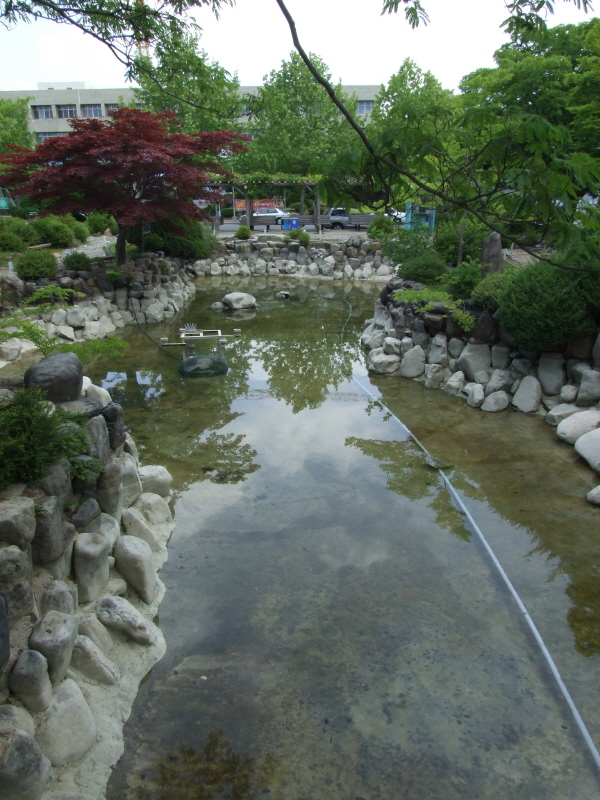 사용자 삽입 이미지