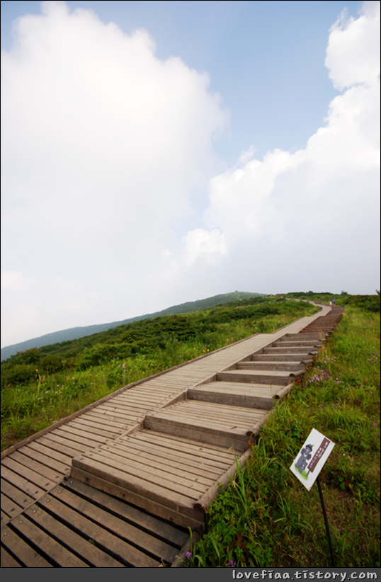 지리산 여행