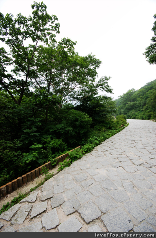 지리산 여행
