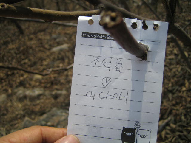 사용자 삽입 이미지