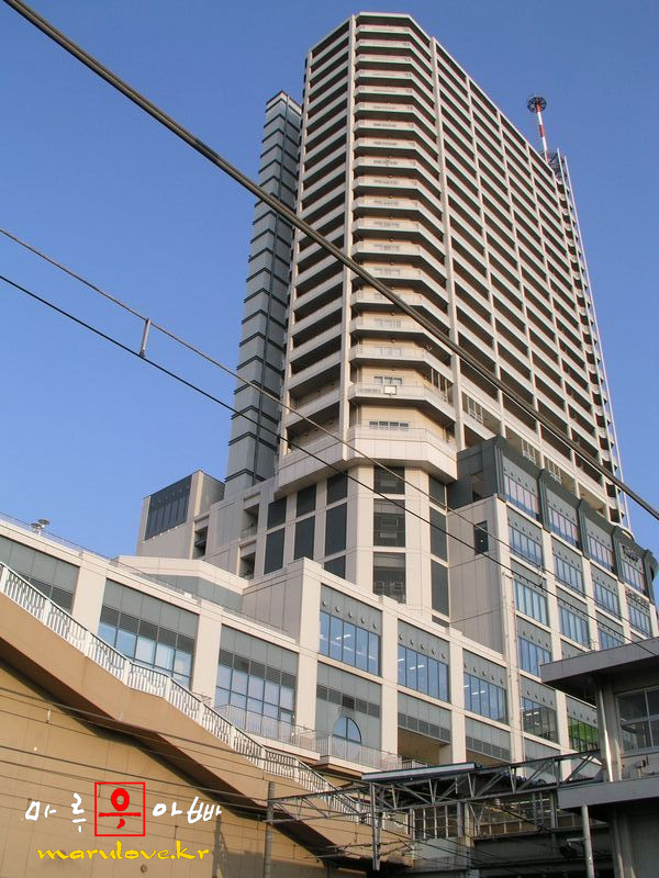 사용자 삽입 이미지