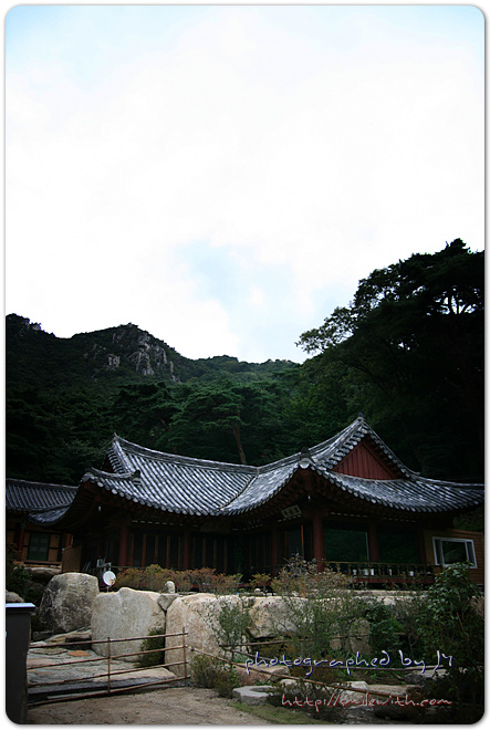 사용자 삽입 이미지