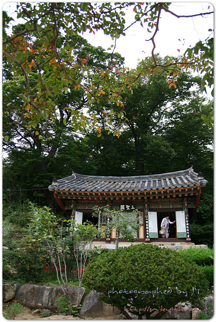사용자 삽입 이미지