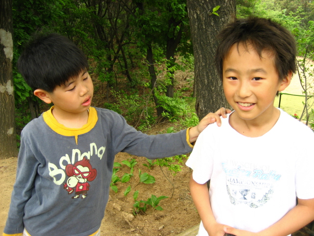 사용자 삽입 이미지