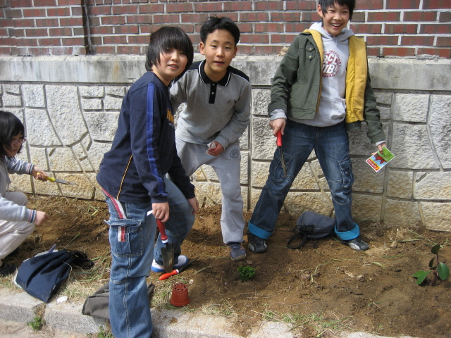 사용자 삽입 이미지