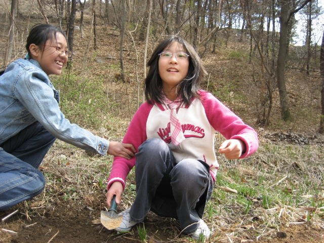 사용자 삽입 이미지