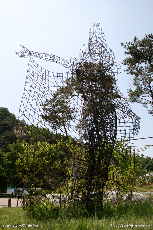 사용자 삽입 이미지