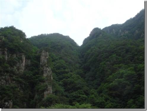 clip_image002