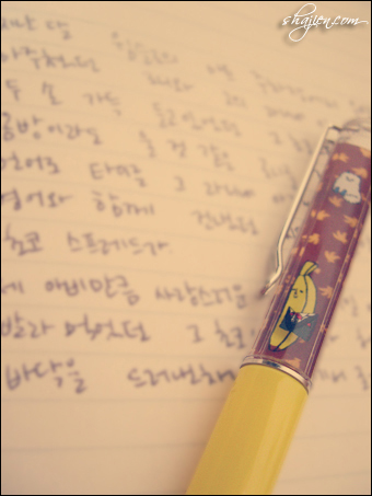 사용자 삽입 이미지