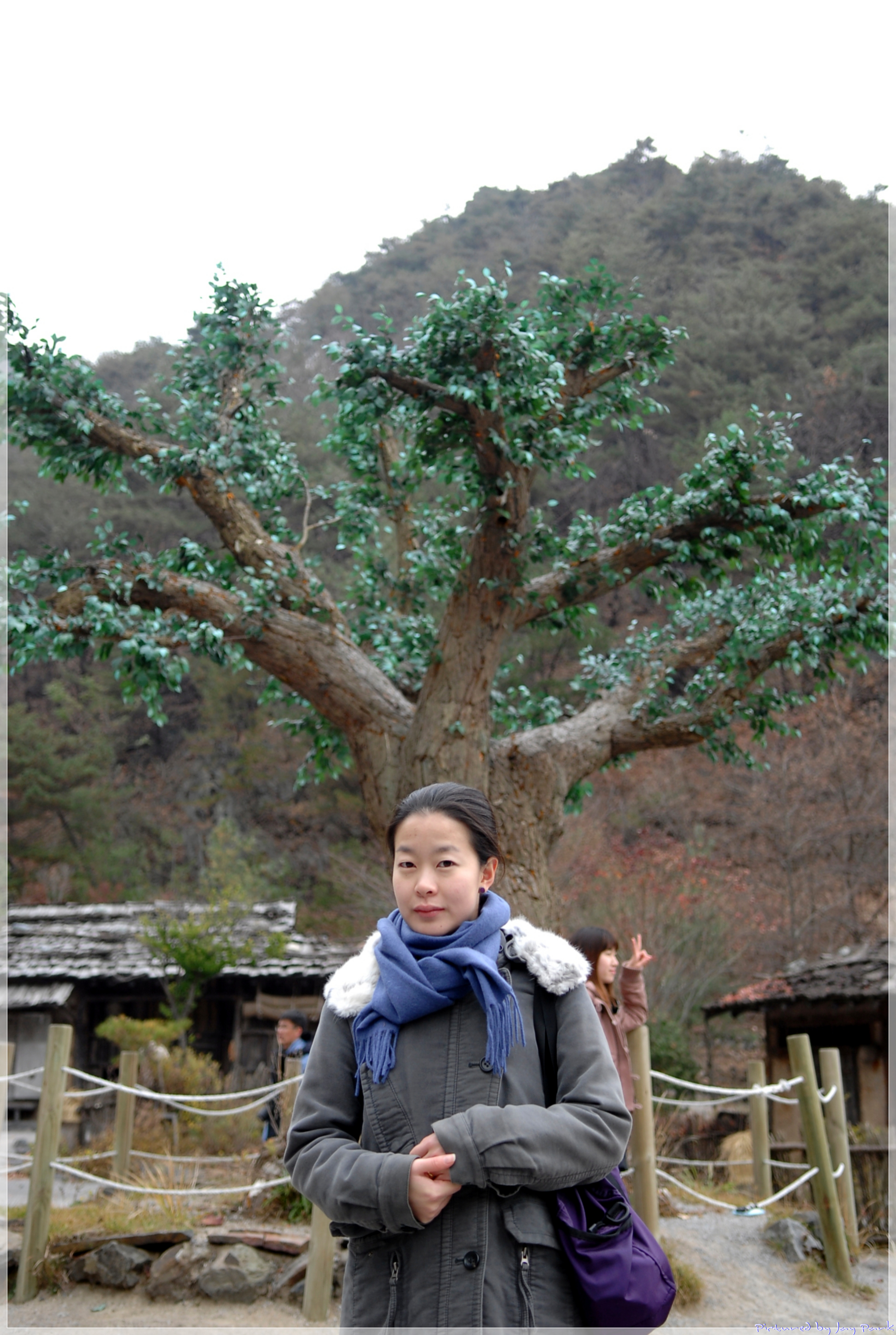 사용자 삽입 이미지