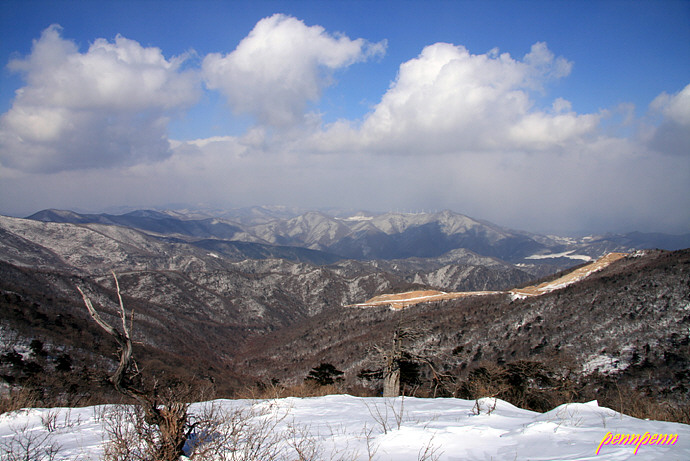 사용자 삽입 이미지