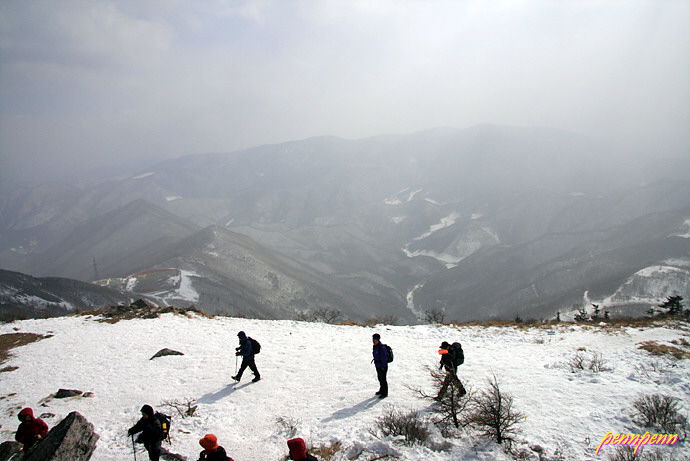 사용자 삽입 이미지