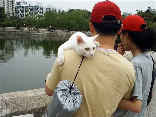 사용자 삽입 이미지