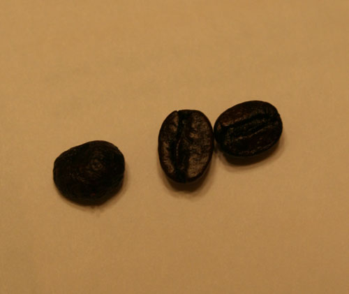 User inserted image
