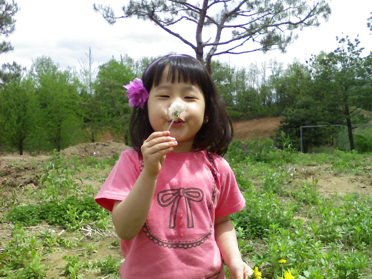 사용자 삽입 이미지