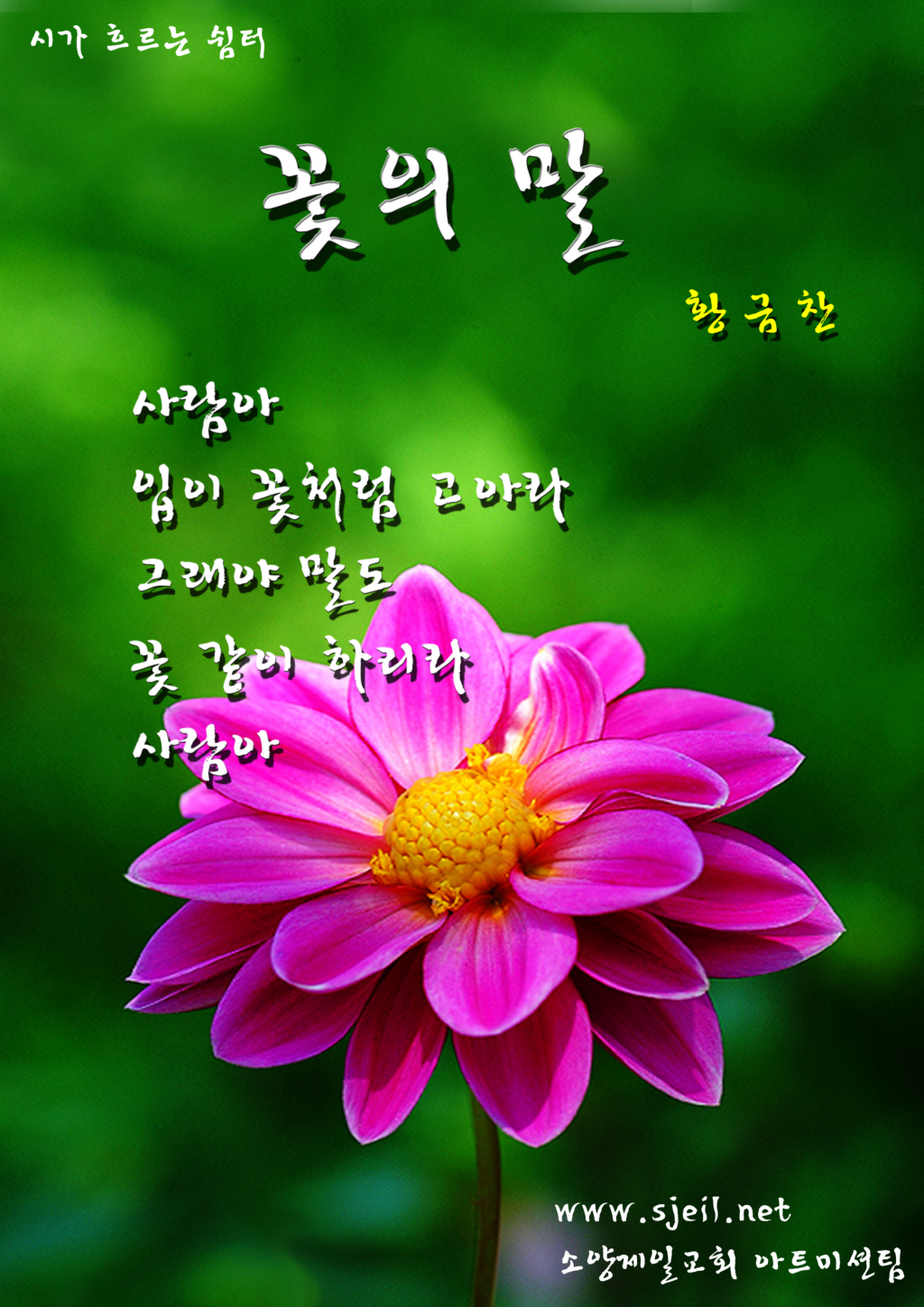 사용자 삽입 이미지