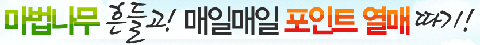 사용자 삽입 이미지