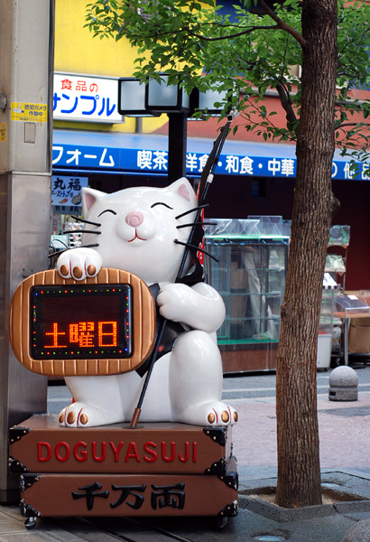 마네끼네꼬