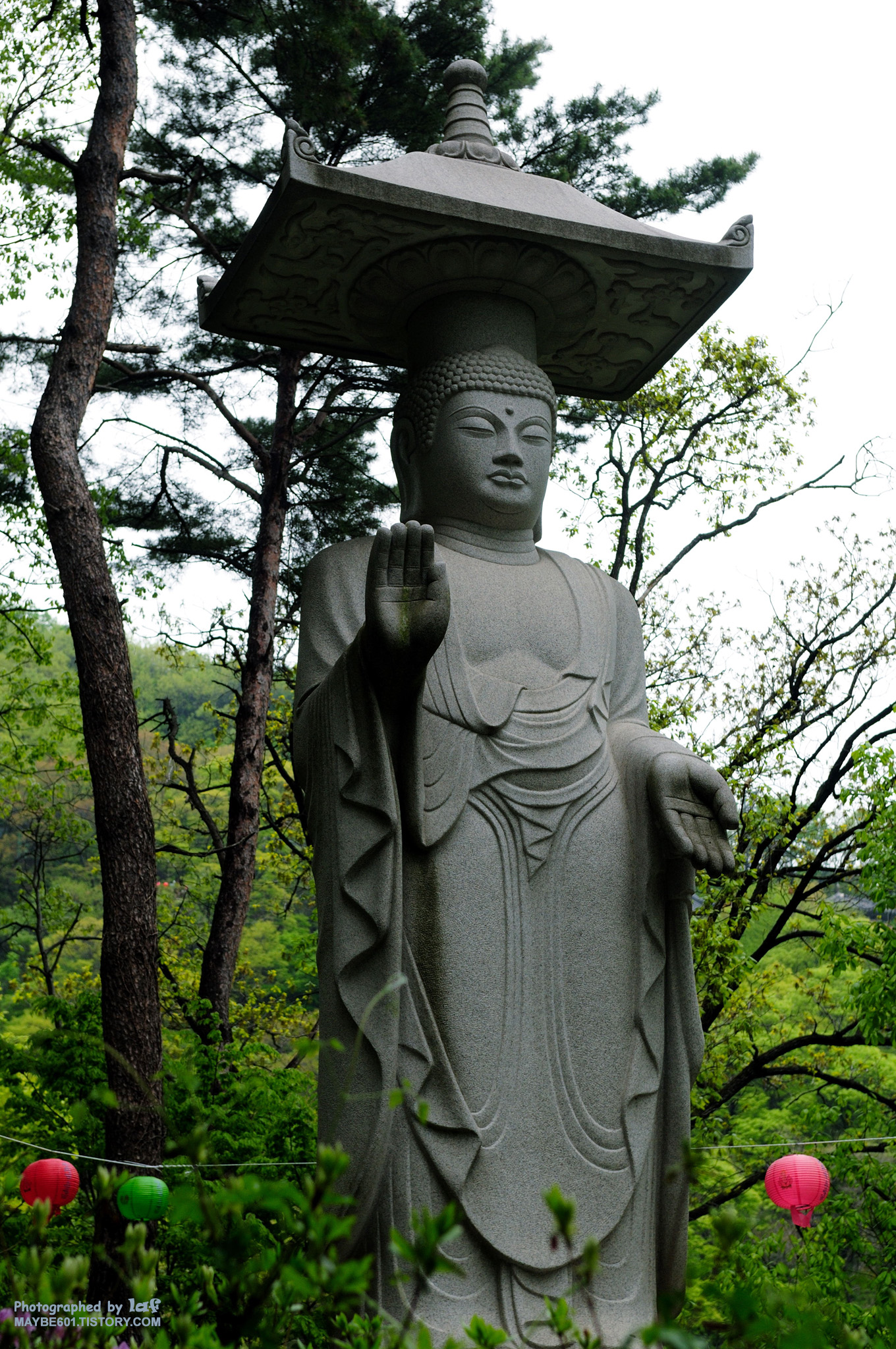 사용자 삽입 이미지