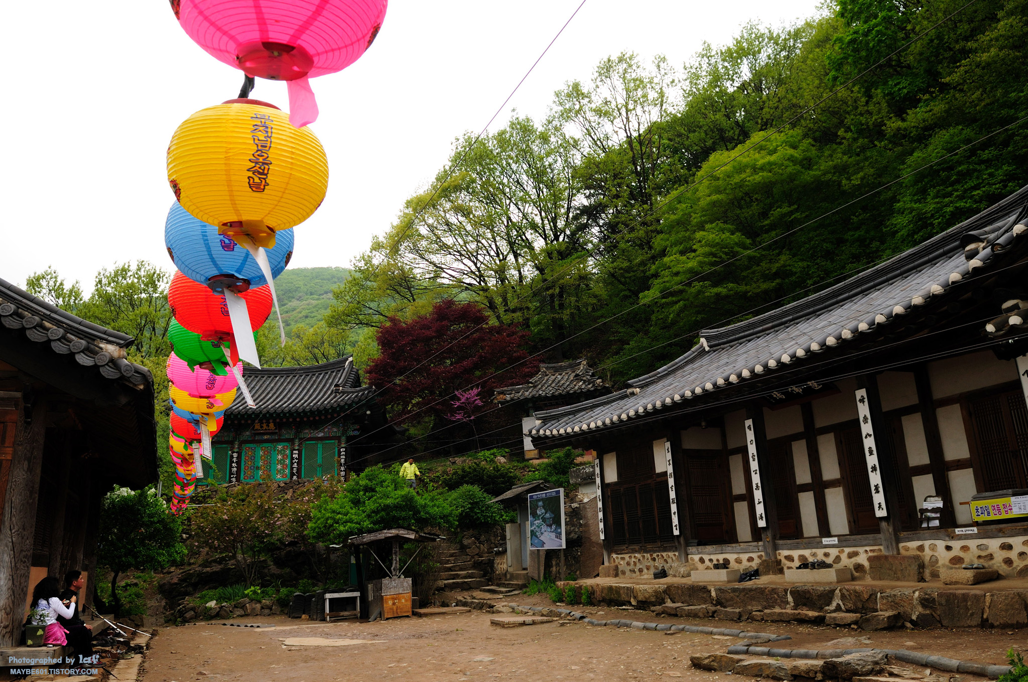 사용자 삽입 이미지
