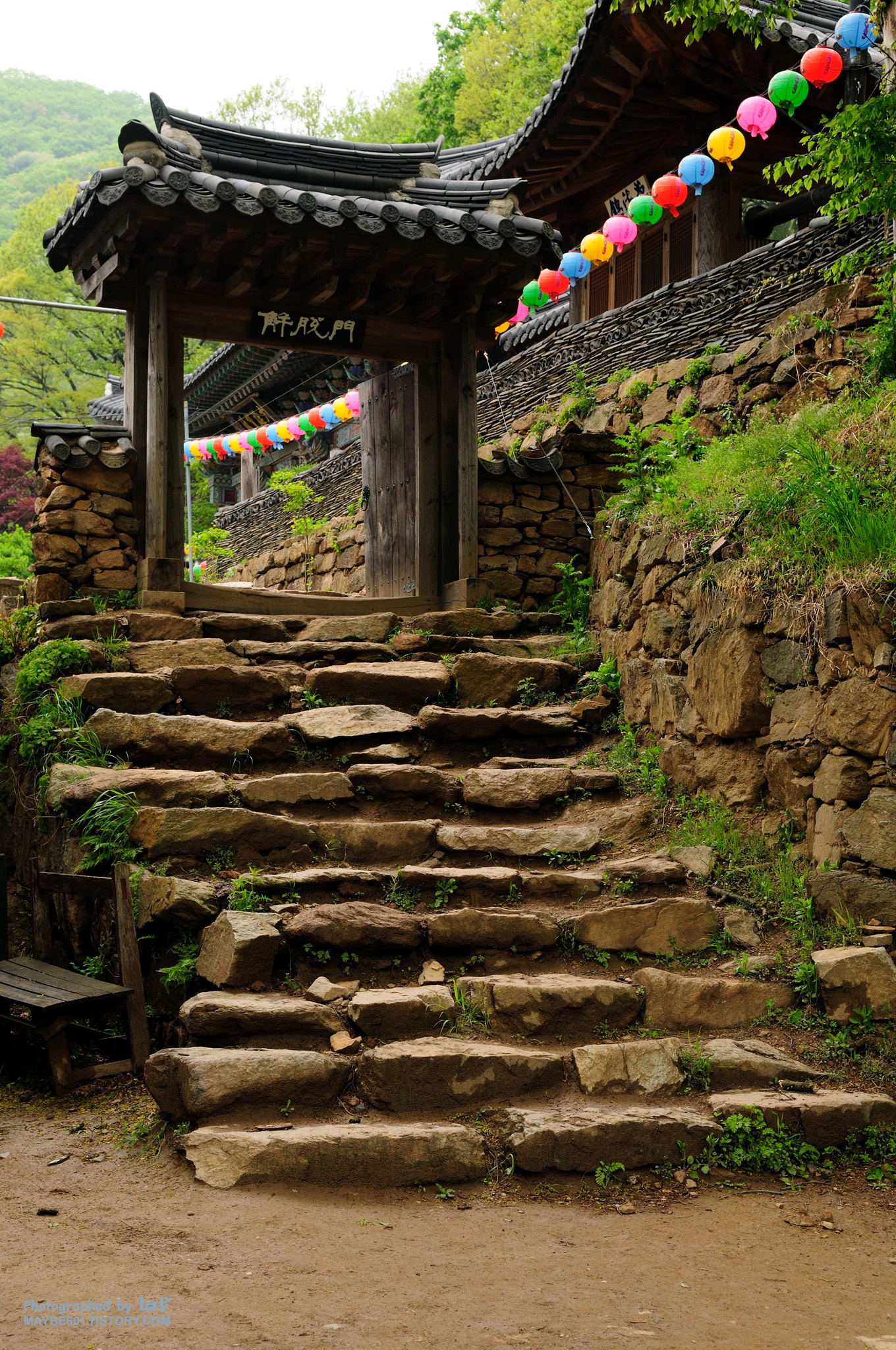 사용자 삽입 이미지