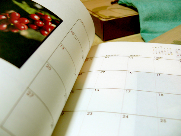 2008 STARBUCKS DIARY