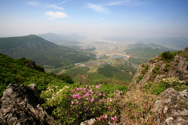 사용자 삽입 이미지