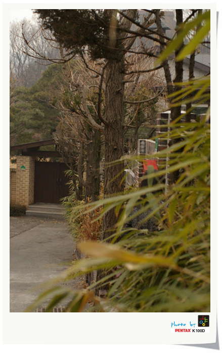 사용자 삽입 이미지