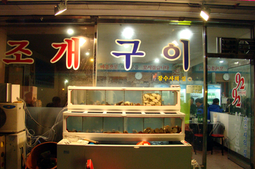사용자 삽입 이미지