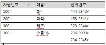 사용자 삽입 이미지