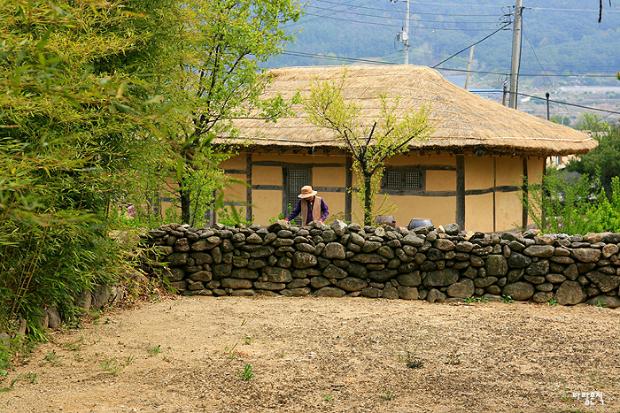 사용자 삽입 이미지