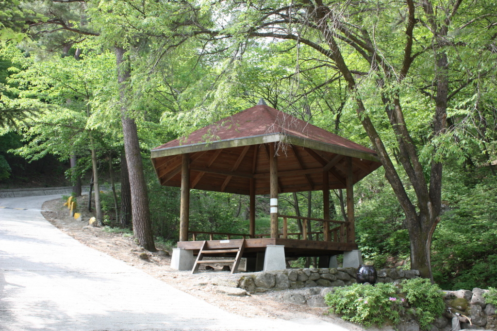 사용자 삽입 이미지