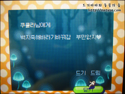 사용자 삽입 이미지
