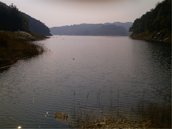 사용자 삽입 이미지