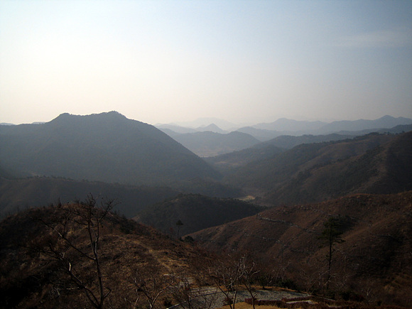 사용자 삽입 이미지