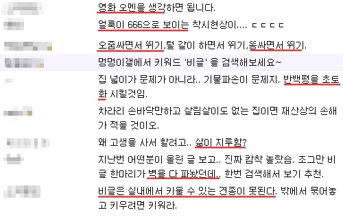 비글( = 악마, 악마의 개, 악마도 포기한 자식, 지랄견, 지랄발광견 계의 교주)