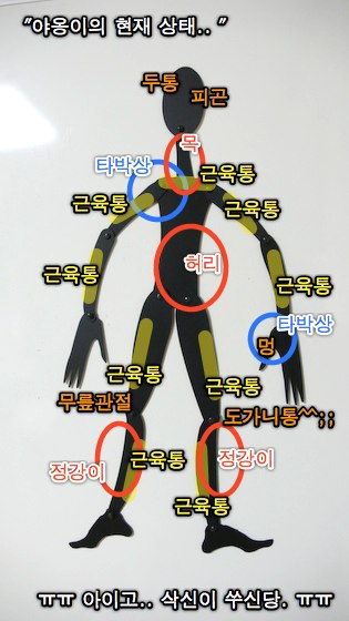 사용자 삽입 이미지