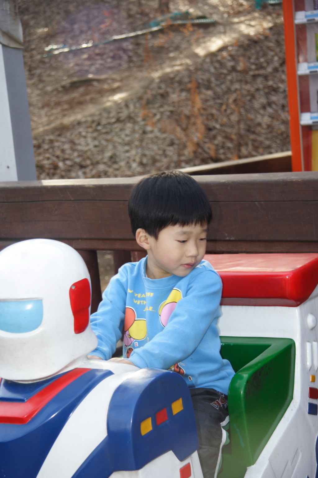 사용자 삽입 이미지
