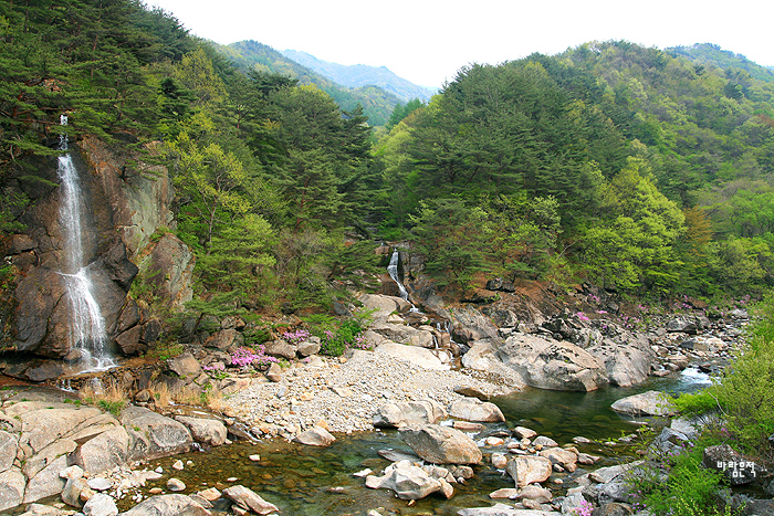 사용자 삽입 이미지