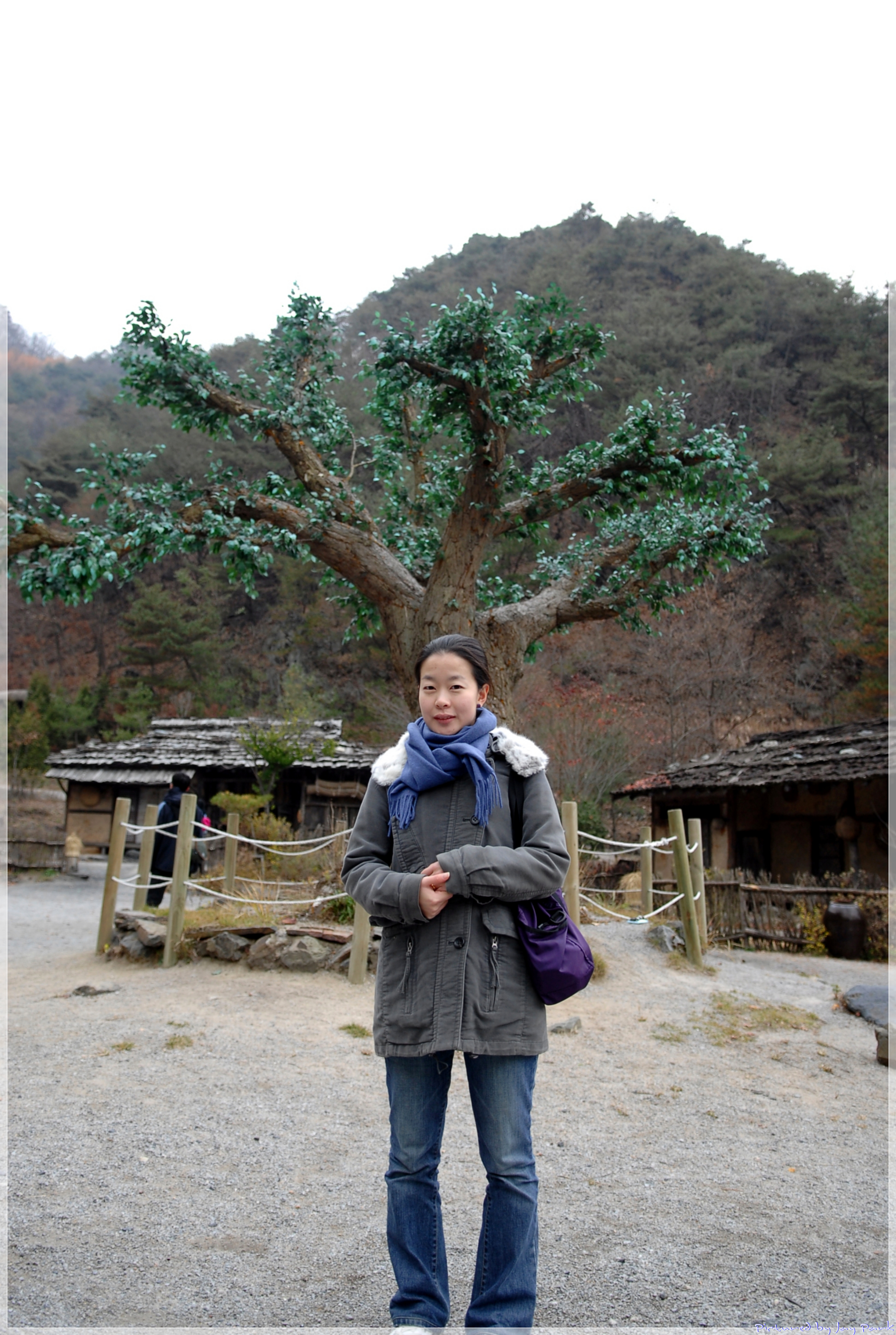 사용자 삽입 이미지