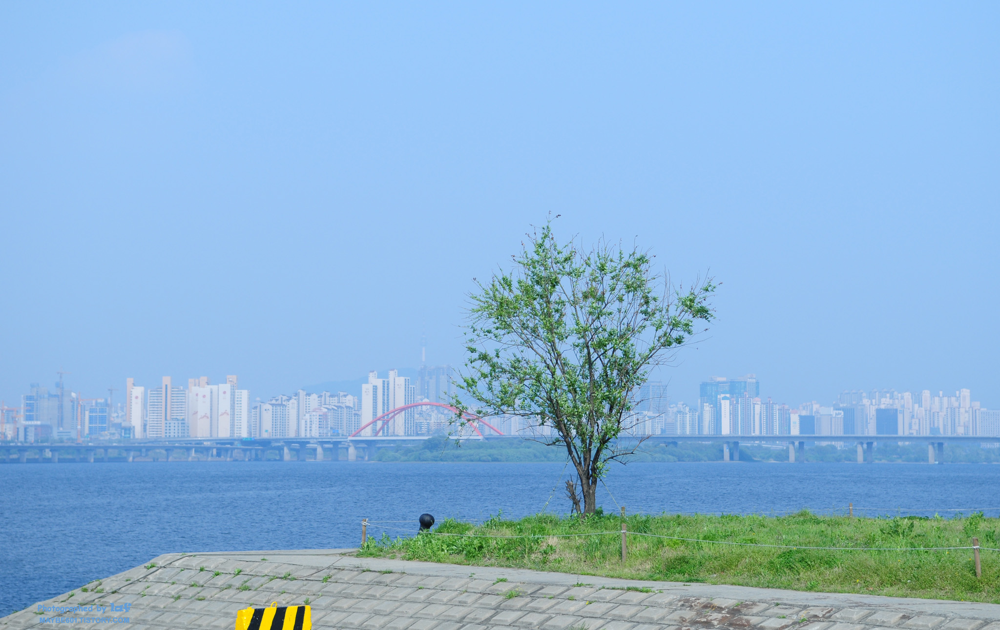 사용자 삽입 이미지