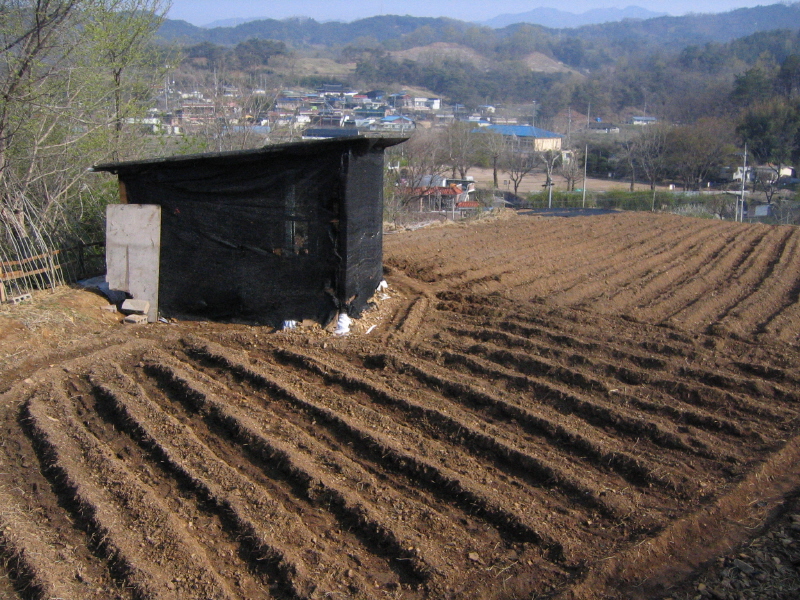 원두막