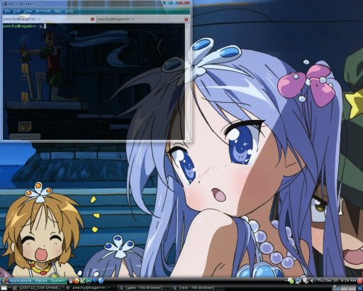 desktop screen shot