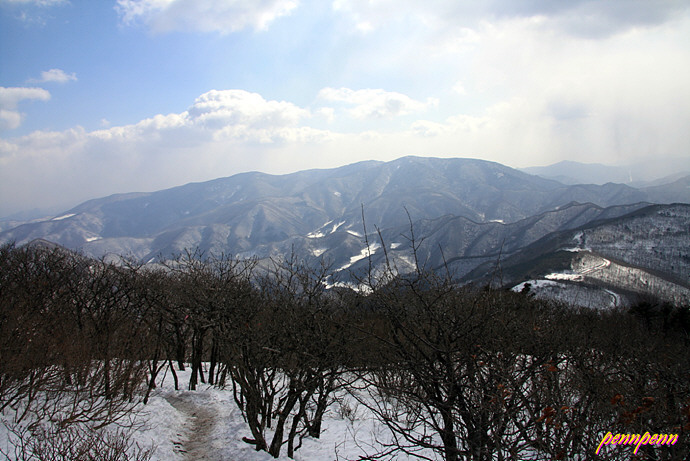 사용자 삽입 이미지