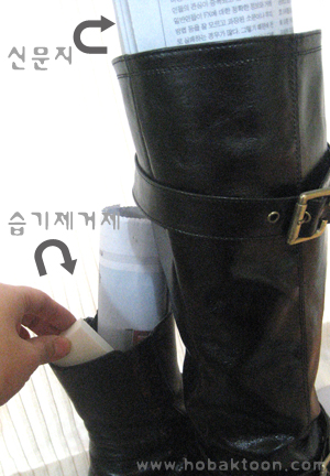 호박툰닷컴