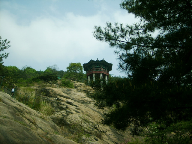 사용자 삽입 이미지