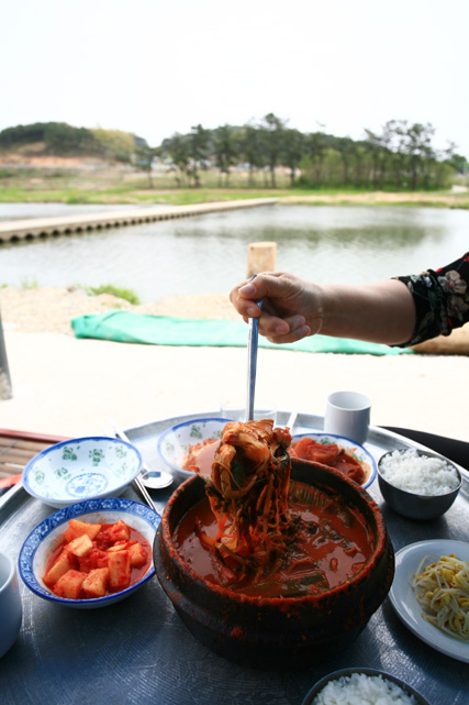 사용자 삽입 이미지