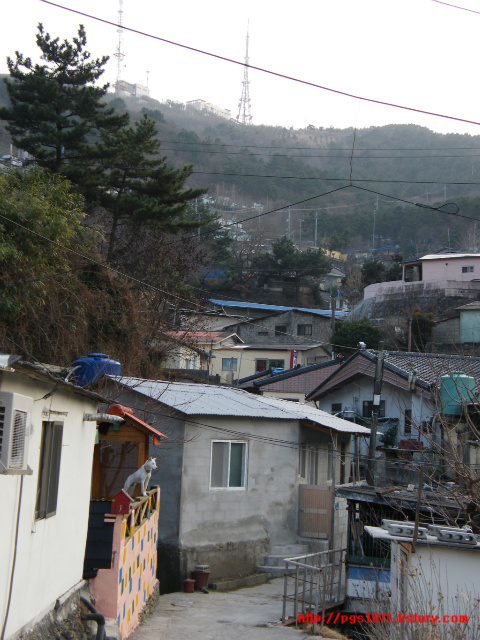 사용자 삽입 이미지