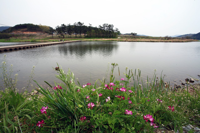 사용자 삽입 이미지